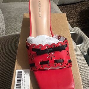 Mules in Vibrant Red